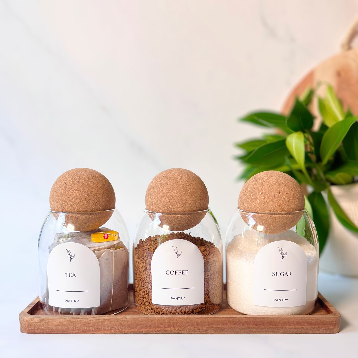 Tea, Coffee & Sugar Glass Canister Set with Acacia Tray