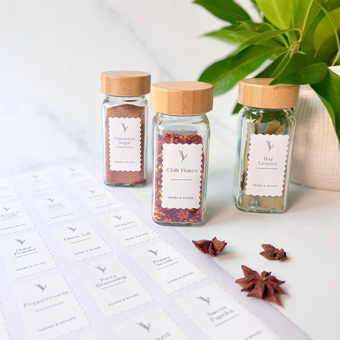 Complete Ripple Herb & Spice Label Set | White | 100 Labels